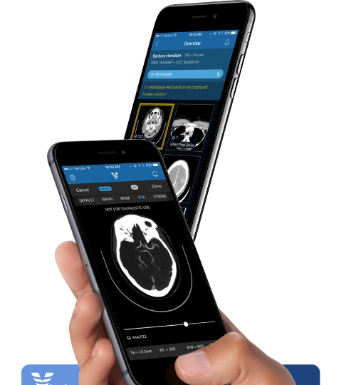 Untitled design (64)